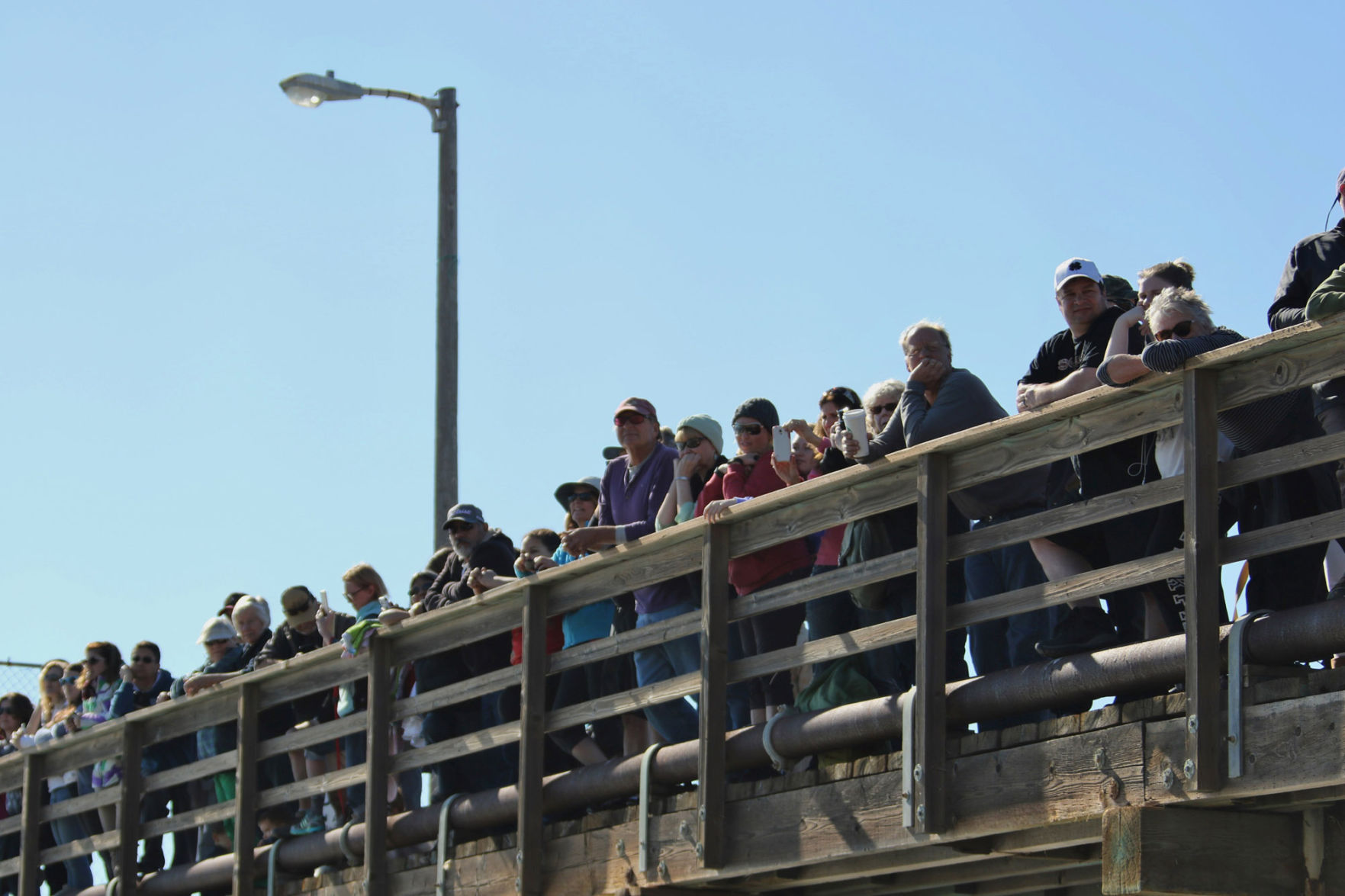 010116 Avila Polar Plunge 12.jpg